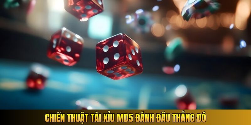 Chiến thuật Tài Xỉu MD5 đánh đâu thắng đó