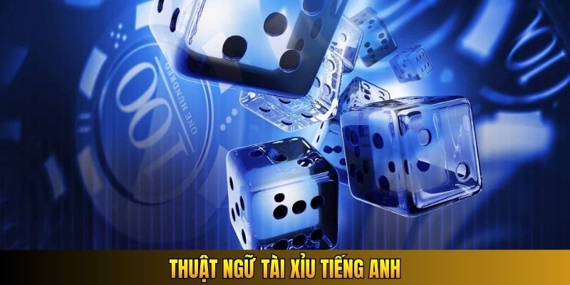 Thuật ngữ Tài Xỉu tiếng Anh